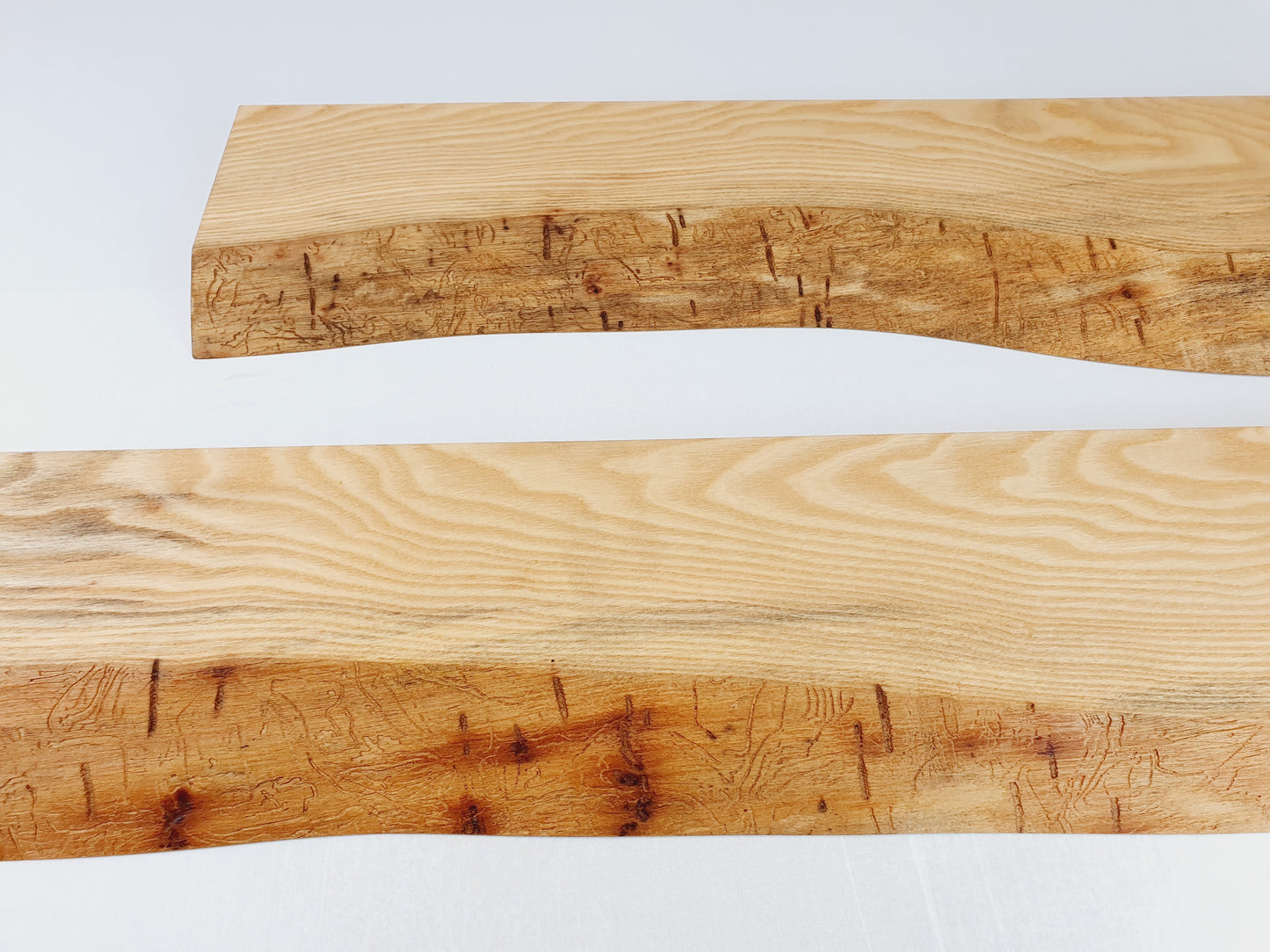Esche Massivholz Wandregal mit Baumkante und Wurmfraß