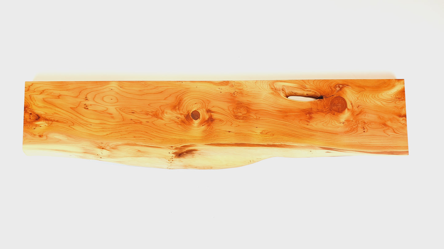Eibe Massivholz Wandregal mit Baumkante