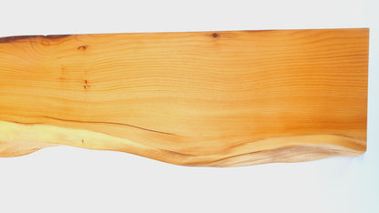 Eibe Massivholz Wandregal mit Baumkante