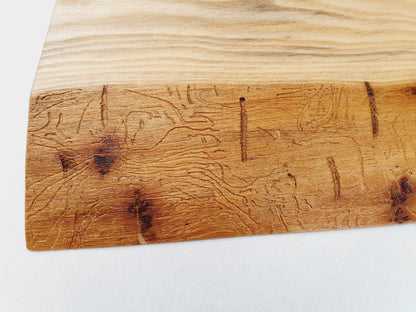 Esche Massivholz Wandregal mit Baumkante und Wurmfraß